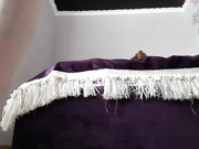 Sweet_Inga Chaturbate