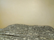 Jaydebabe69 20180530