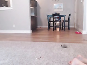 scarlett_vera Vibrator 20160902