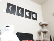 mfc delightfulhug dildo machine 20160901