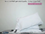 sphynxlions Stockings 20160905