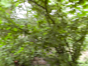 Mariah_Leonne - Super risky POV public facial
