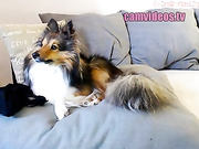 saandruskka 011016 myfreecams