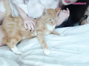 camgirl forest_nymph 20161004