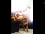 le phantasme du plombier_480p