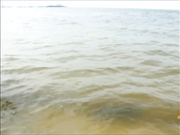 MissNoir_xx Sex on the Beach