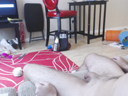 iAmMegaGirl Boy Girl HandJob 2