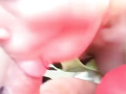 le_lea - car bj