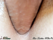 Pavlovswhore 02-03-2019
