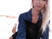 ocicat