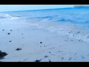 Kick (5)