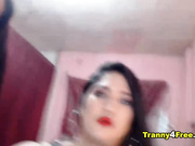 Light skin Shemale in sexy Lingerie