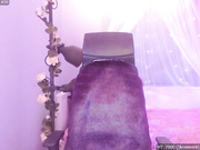 cams 271