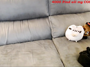 cams 293
