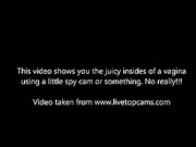 pussy_orgasm_filmed_from_the_inside