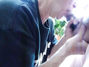 COMFORTABLE COCKSUCKING