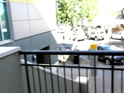 Ginger_Banks - Public Fun Volume One