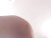 bunni_