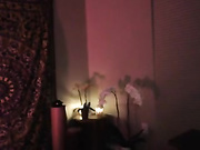 havenreigh camshow