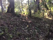 MaryCandy20 - Public In A Park