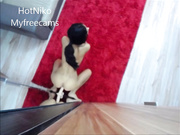 SexySweetNiko - Height Mirror Dildo