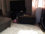 aapl_ webcam show