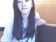fancyv webcams