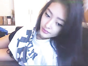 fancyv webcams