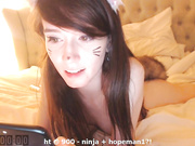 kitten_sophie webcam