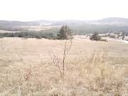 teacher_of_magic - College Student Sucking On a Mountain Walk (720p)
