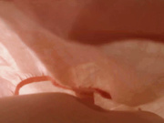 MyFreeCams Model - MissAlice_94 - New Points of View