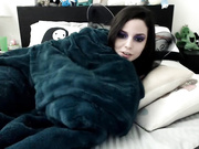 kittykatbars