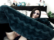 kittykatbars