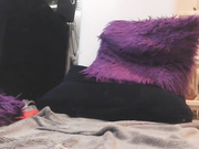 abrill Amateur Webcam Show 20171029