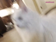 mfc dddiddle 20161017