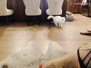 mfc dddiddle 20161017