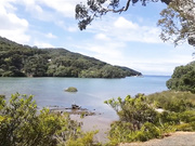 forestnymphmfc - Island Adventure, free private premium video