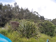 forestnymphmfc - Island Adventure, free private premium video