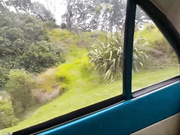 forestnymphmfc - Island Adventure, free private premium video