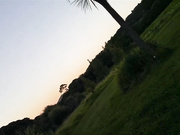 forestnymphmfc - Island Adventure, free private premium video