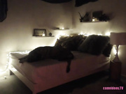 mfc indigowild video