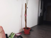 Rainleiwa Cam Show HD CB 10 11 17