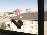 Chloe Swan - Window Blowjob