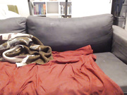 Glutenfreelesbians Cam Show HD CB 18 11 17