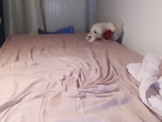 sannanudelove 2017-12-01