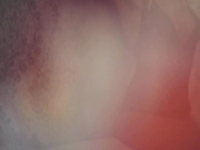 MissOMFG - Lingerie Tease - Premium Video