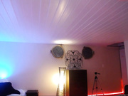 bellabrookz 040317 myfreecams