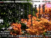 DXT2JUK817