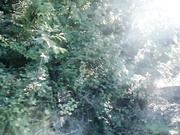 porcementonn