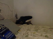 lula_ Webcam 20171222